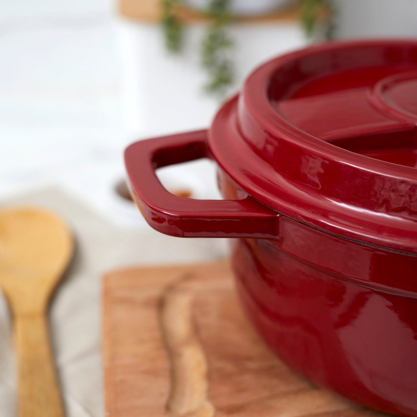 Olla de Hierro Fundido 2,9 Lts Coquinaria